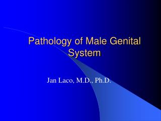 Pathology of Male Genital System