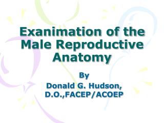 Exanimation of the Male Reproductive Anatomy