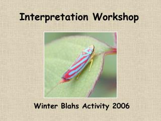 Interpretation Workshop