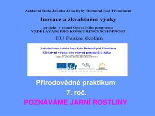 Přírodovědné praktikum 7. roč. POZNÁVÁME JARNÍ ROSTLINY