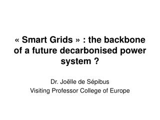 « Smart Grids » : the backbone of a future decarbonised power system ?
