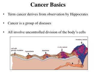 Cancer Basics