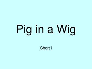 Pig in a Wig