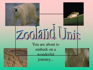 You are about to embark on a wonderful journey...