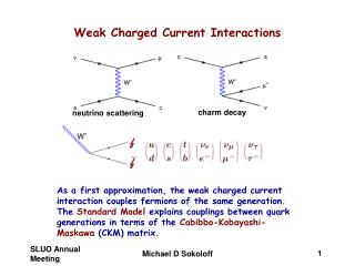 Weak Charged Current Interactions