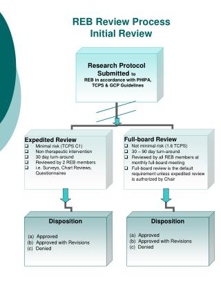 REB Review Process Initial Review