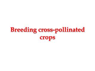 Breeding cross-pollinated crops