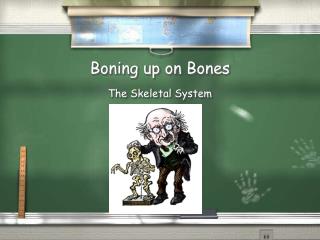 Boning up on Bones