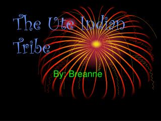 The Ute Indian Tribe