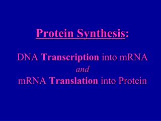 Protein Synthesis : DNA Transcription into mRNA and mRNA Translation into Protein