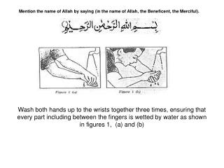 Mention the name of Allah by saying (in the name of Allah, the Beneficent, the Merciful).