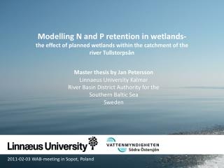 Master thesis by Jan Petersson Linnaeus University Kalmar