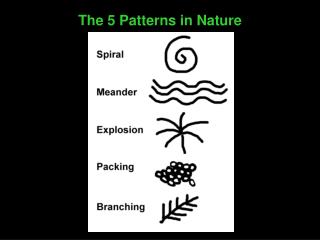 The 5 Patterns in Nature