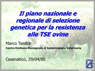 Il piano nazionale e regionale di selezione genetica per la resistenza alle TSE ovine