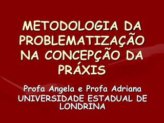 METODOLOGIA DA PROBLEMATIZAÇÃO NA CONCEPÇÃO DA PRÁXIS