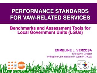 PERFORMANCE STANDARDS FOR VAW-RELATED SERVICES