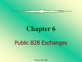 Chapter 6 Public B2B Exchanges