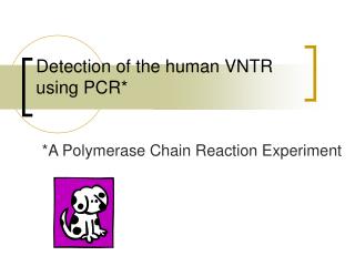 Detection of the human VNTR using PCR*
