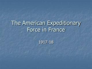 The American Expeditionary Force in France