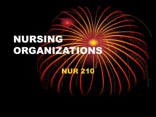 NURSING ORGANIZATIONS