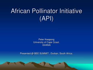 African Pollinator Initiative (API)