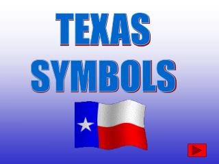 TEXAS SYMBOLS