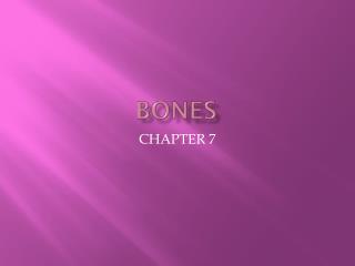 BONES