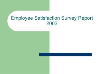 Employee Satisfaction Survey Report 2003