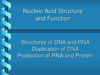 Nucleic Acid Structure and Function