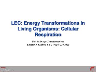 LEC: Energy Transformations in Living Organisms: Cellular Respiration