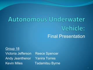 Autonomous Underwater Vehicle: