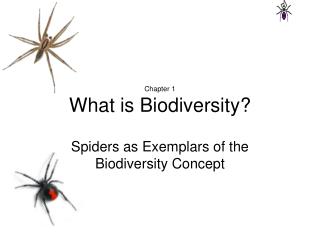 Chapter 1 What is Biodiversity?