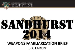 WEAPONS FAMILIARIZATION BRIEF SFC LARKIN