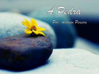 A Pedra... Por: Antonio Pereira