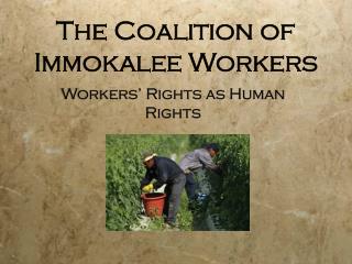 The Coalition of Immokalee Workers
