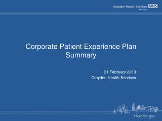 Corporate Patient Experience Plan Summary