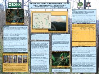 DISTRIBUTION AND RELATIVE ABUNDANCE OF ARIZONA FOREST BIRDS IN RELATION TO BURN SEVERITY