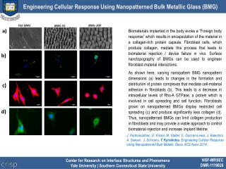 Engineering Cellular Response Using Nanopatterned Bulk Metallic Glass (BMG)