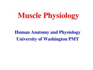 Muscle Physiology