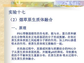 实验十七 （ 2 ）烟草原生质体融合