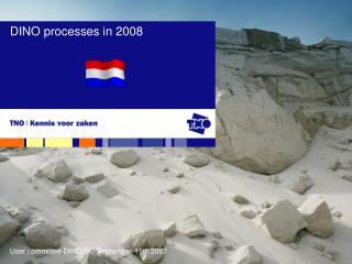 DINO processes in 2008