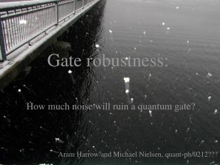 Gate robustness: