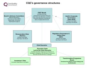 Audit &amp; Corporate Governance Cttee (ACG) A Board committee reporting to the Board