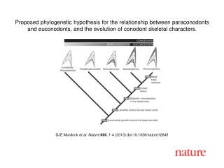 DJE Murdock et al. Nature 000 , 1-4 (2013) doi:10.1038/nature12645