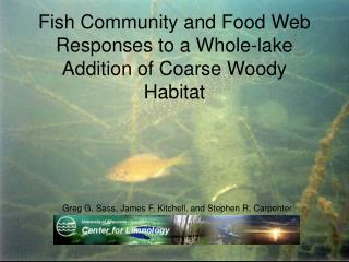 Fish Community and Food Web Responses to a Whole-lake Addition of Coarse Woody Habitat