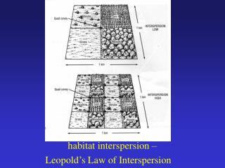 habitat interspersion – 		Leopold’s Law of Interspersion