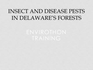 Insect and Disease Pests In Delaware’s Forests