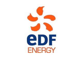 EDF ENERGY - EDRP Lessons learned summary overview 04 th February 2010. Martin Bell
