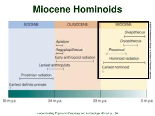 Miocene Hominoids