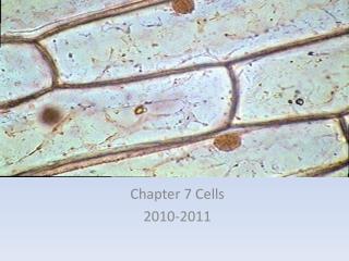 Chapter 7 Cell Structure and Function